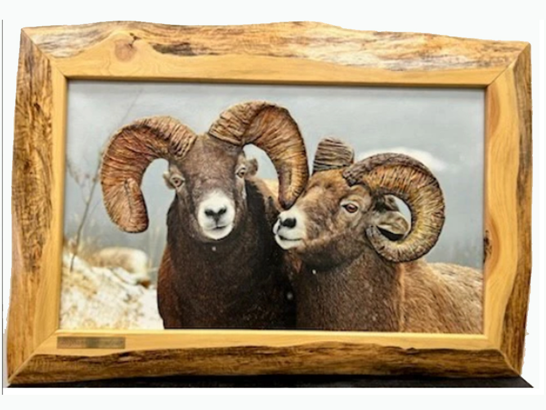 box image
